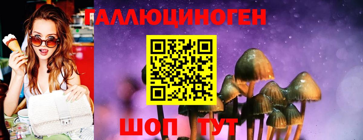 Долгопрудный  Псилоцибиновые грибы прущие грибы  Вход с VPN 